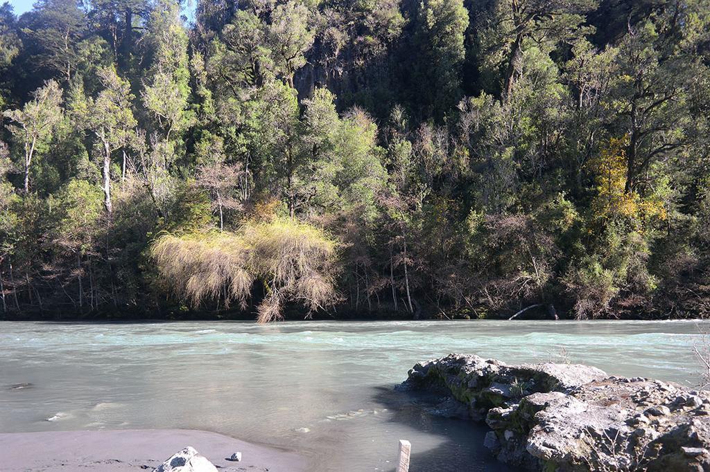 منزل الضيف Ralun Patagonia المظهر الخارجي الصورة