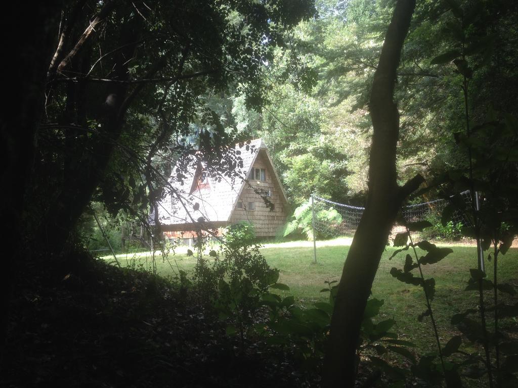 منزل الضيف Ralun Patagonia المظهر الخارجي الصورة