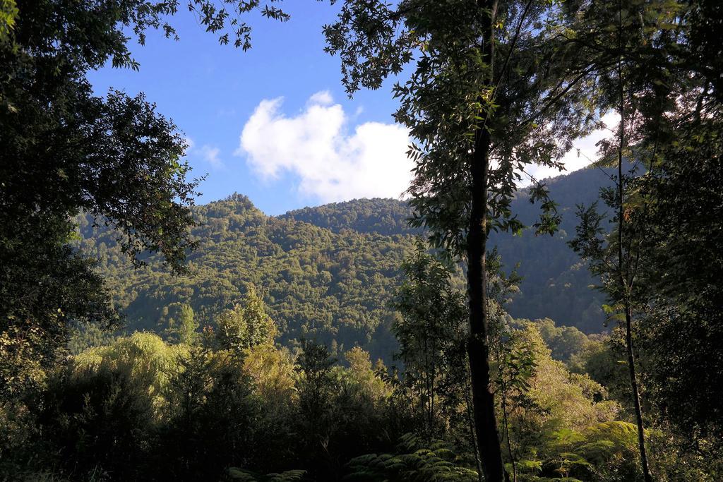 منزل الضيف Ralun Patagonia المظهر الخارجي الصورة